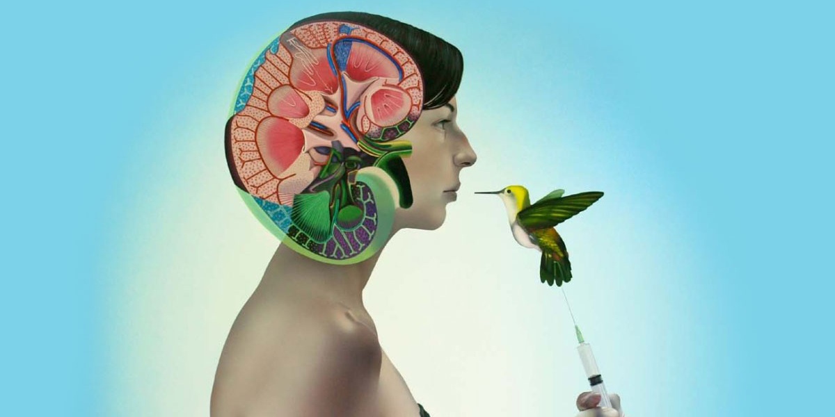 Избегайте 10 основных ошибок в начале работы медицина Окончательная сделка по медицина