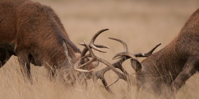 Борьба за&nbsp;знания: кто и&nbsp;зачем занимал очередь на&nbsp;запись в&nbsp;1&nbsp;класс