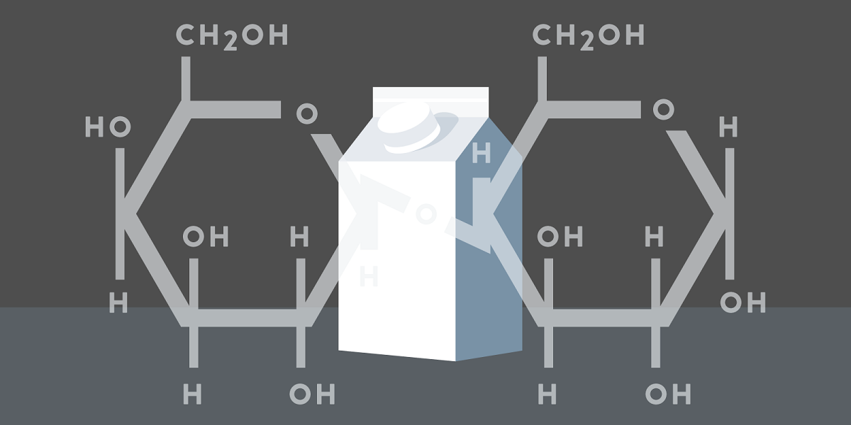 Какие вещества содержатся в молоке формула. Химическая формула молока. Формула молока химическая формула. Химическая формула молока коровьего. Лактоза химическая структура.