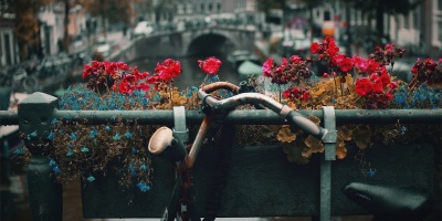 В&nbsp;Москве пройдет день голландского образования