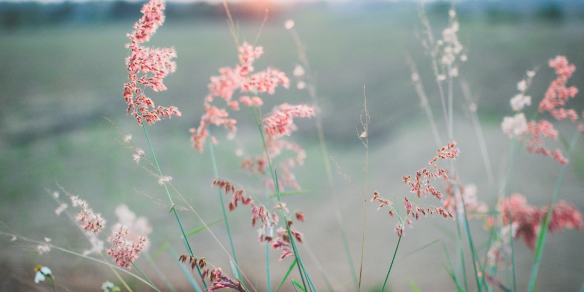 История станет обязательным предметом ЕГЭ — Учёба.ру