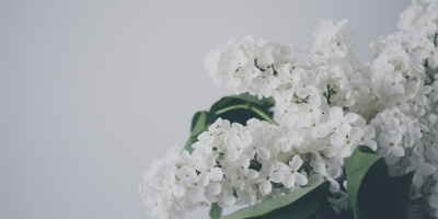 Зарубежные школьники проверят свои знания русского языка