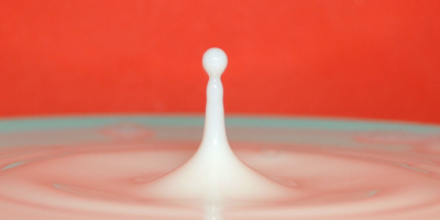 Чему учат в&nbsp;школе: онлайн-курсы по&nbsp;основным дисциплинам